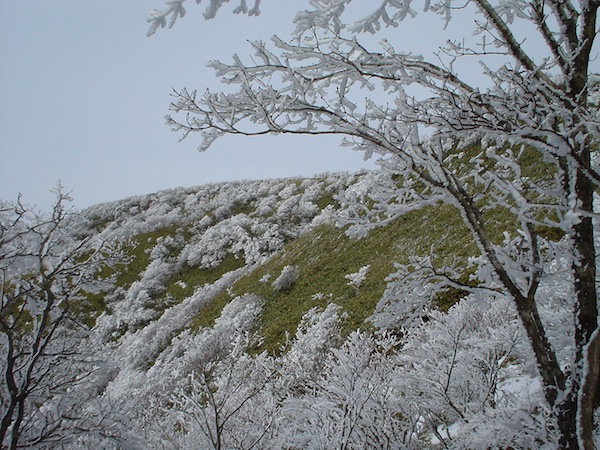 奥の畑谷源頭部より雨乞岳方面を望む。