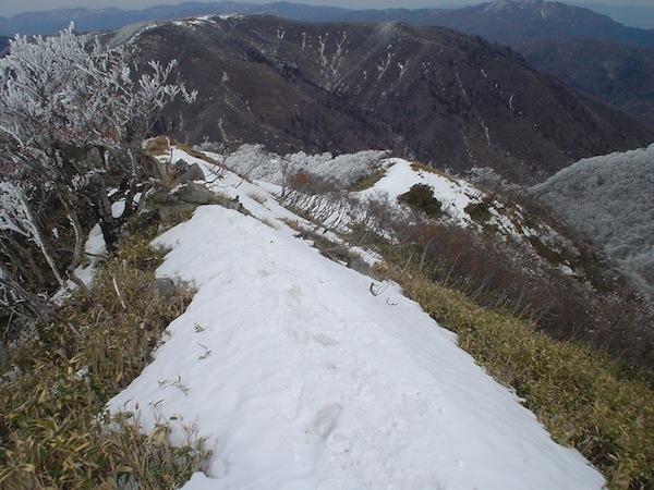 杉峠への下り。