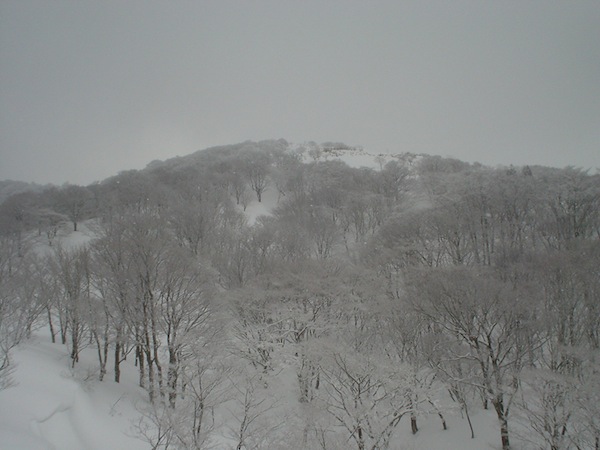 ブンゲン南斜面の新雪は素晴らしかった。ふかふかパウダーの滑降。