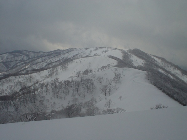 起伏のある尾根を越えていく。テレマークスキーの機動性が生かされる。