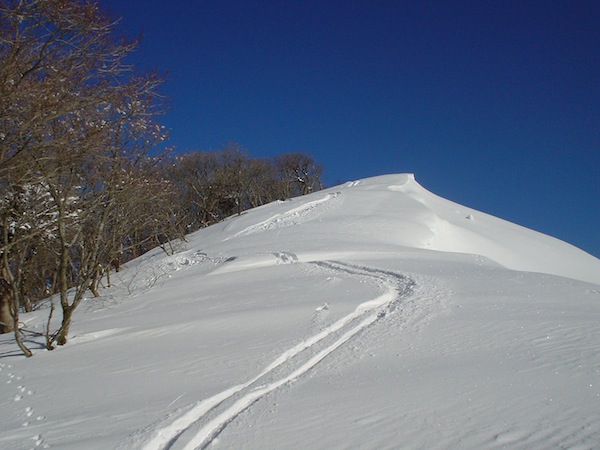 国見岳下りの滑降。快適な斜面。