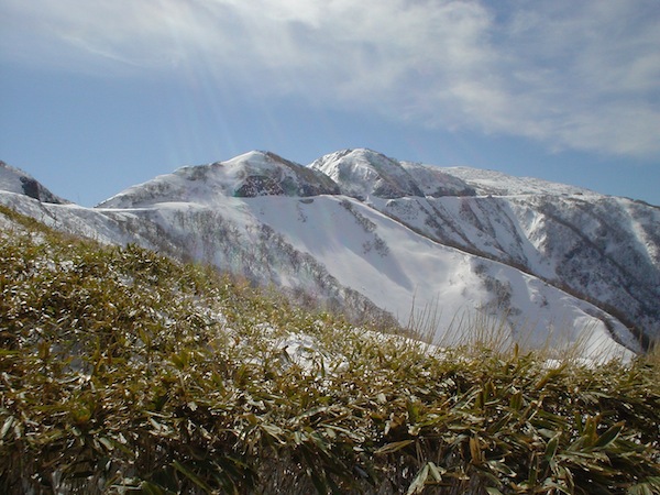静馬ヶ原から伊吹山を望む。伊吹山ドライブウェイは雪に埋もれているように見える。