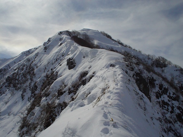 伊吹山北東尾根下部。不安定なやせ尾根だ。