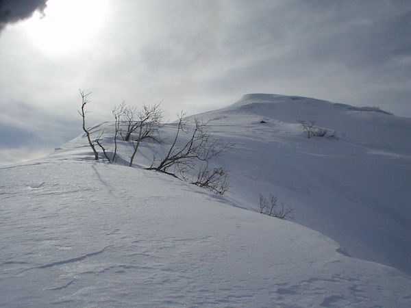 北東尾根より伊吹山南峰、あとひと登り。