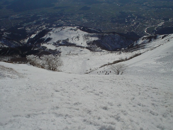 伊吹山南斜面上部。