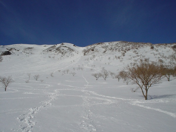 伊吹山南面の大斜面