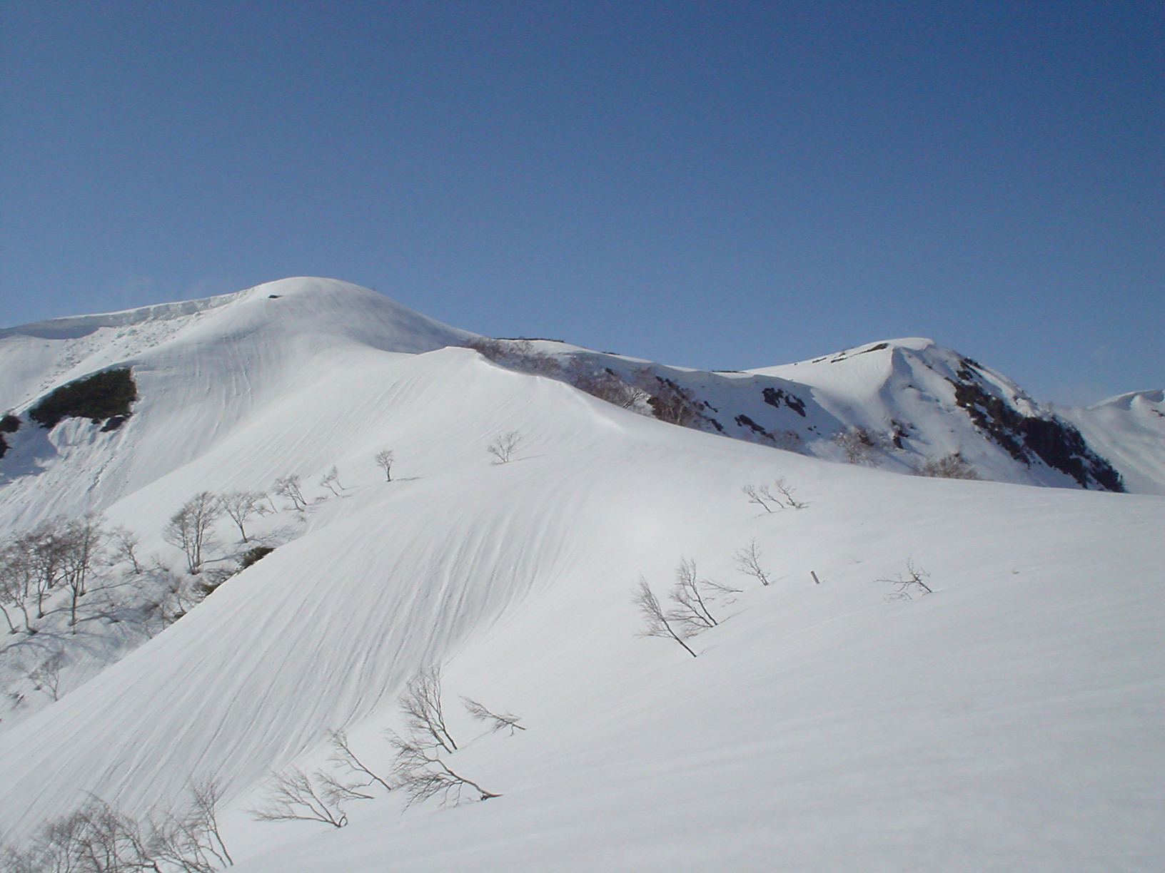石徹白の盟主、銚子ヶ峰。