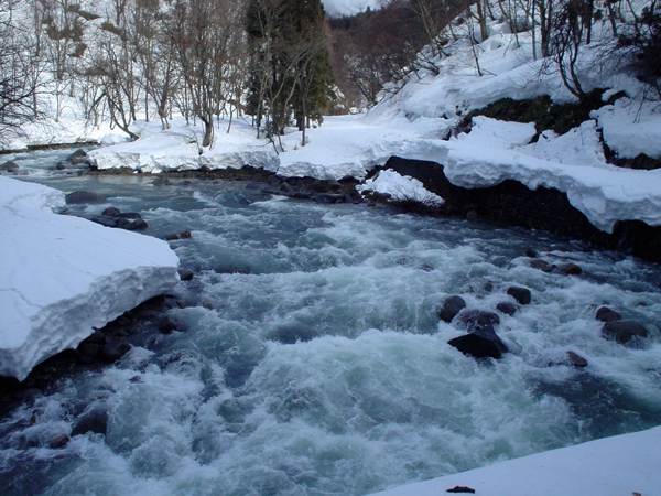雪解けで増水する石徹白川。