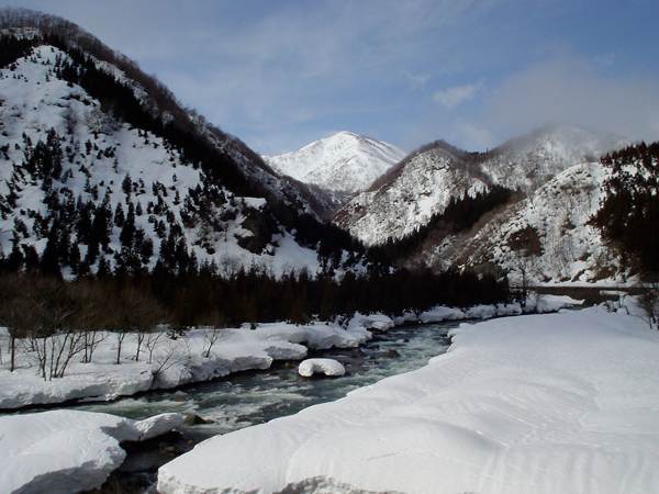 野伏ヶ岳の端正なピラミッド。