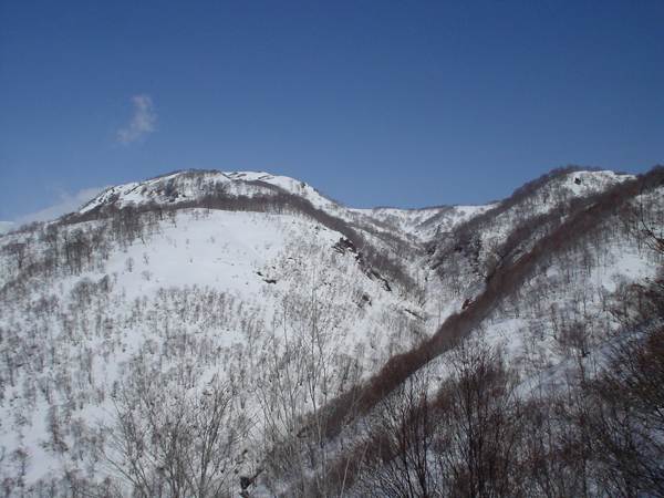1250m付近より、銚子ヶ峰山頂を望む。