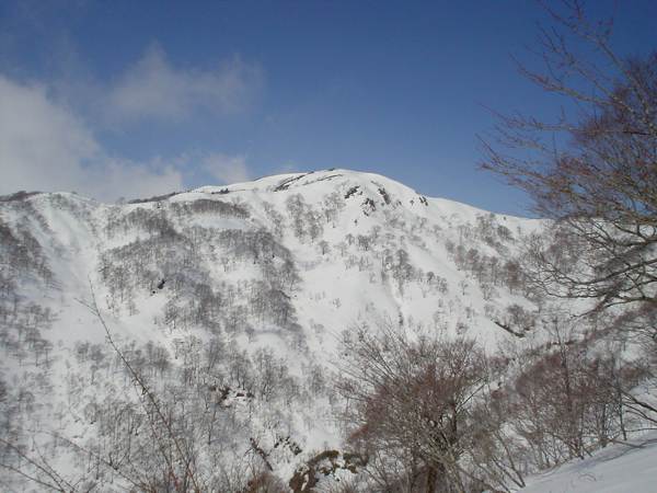 1480m付近より、銚子ヶ峰山頂を望む。