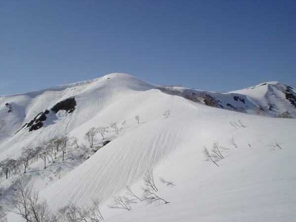 1650m付近より。手前は1748mピーク、銚子ヶ峰本峰は右奥。