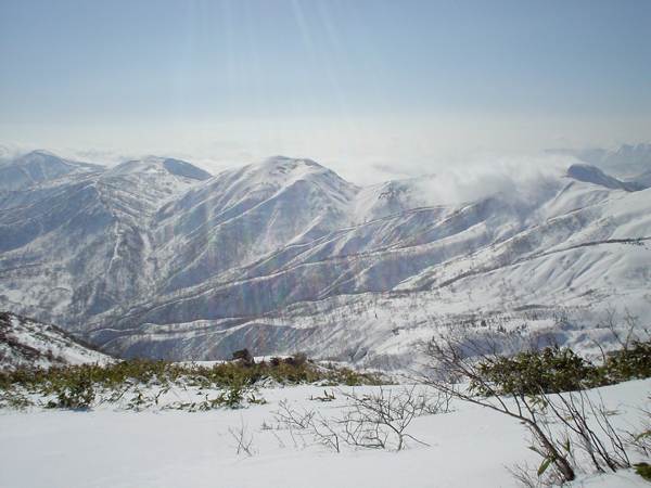 野伏、薙刀、日岸、願教寺。そろい踏みだ。