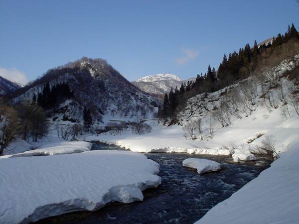 帰り道、林道から銚子ヶ峰を見上げる。