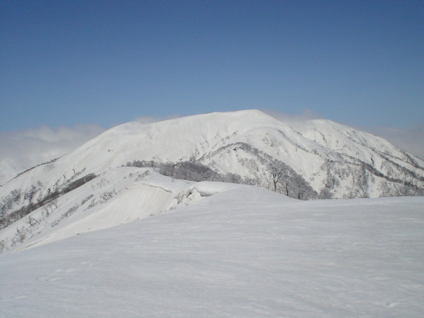能郷白山、1600mあまりの高さだが堂々たる名山だ。前山からの滑降も楽しい。