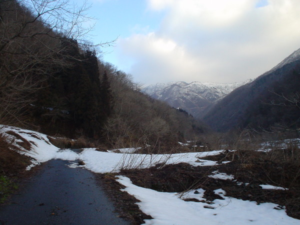 雪の消えた能郷谷沿いの林道を歩く。