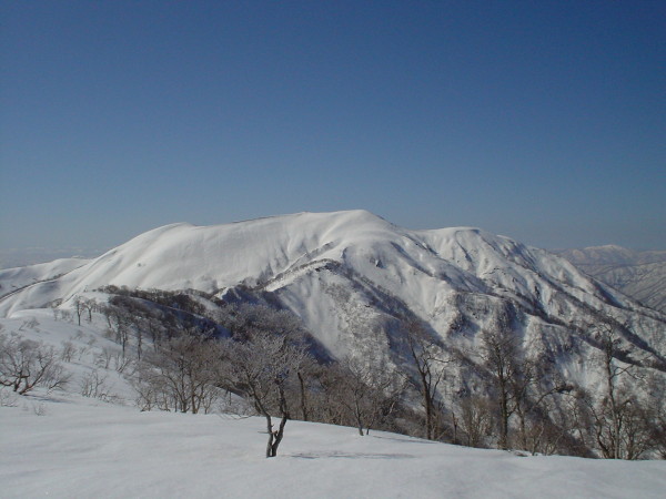 前山から見た能郷白山、堂々たる名山だ。