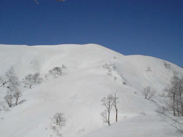 鞍部から見上げた能郷白山。