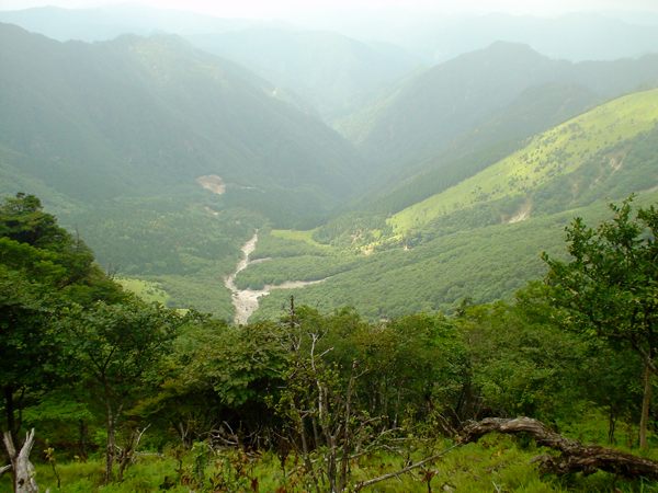 カラハッソウ谷源頭。明るく開けた谷だ。
