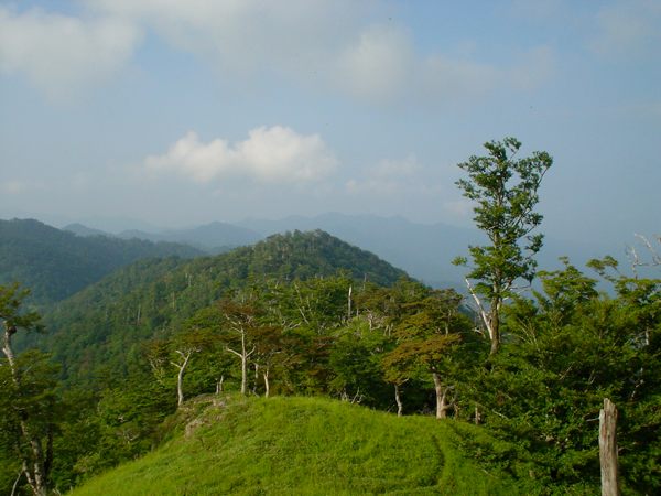 天狗山から笠捨山方面を望む。