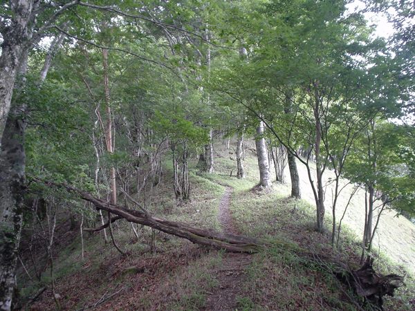 玉置山への最後の登りカツエ坂。