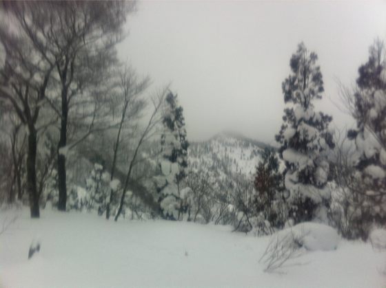 年末年始と大雪が降りましたが、丁子山からの滑降にはもう少し雪が欲しいところでした。