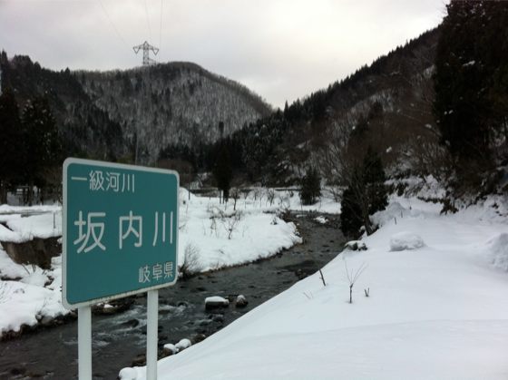 川上集落から坂内側左岸の林道を遡る。