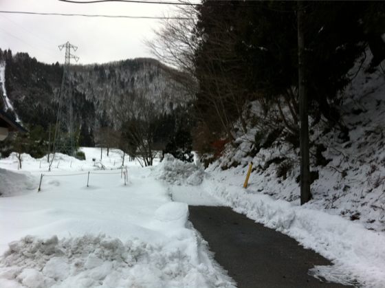 林道は入口から除雪なし。