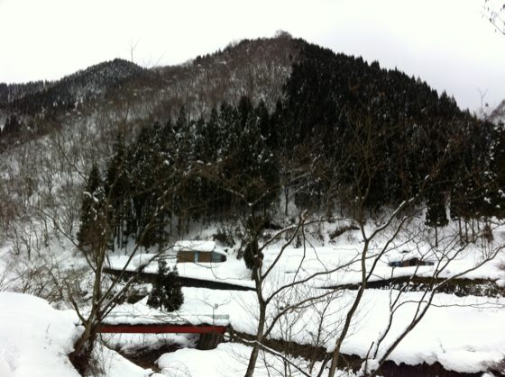 川上浅叉川を橋で渡り、写真正面の湧谷山北尾根の支尾根に取り付く。