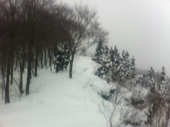 湧谷山北尾根の支尾根。ヤブっぽい。