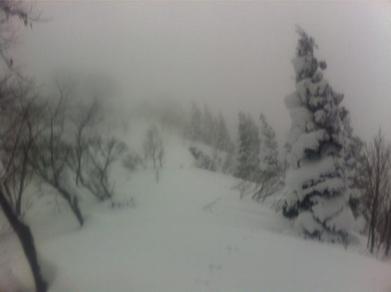 湧谷山山頂直下には樹氷が成長中。