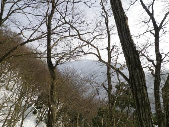 終止、右手に横山岳を見ながら尾根を登る。 