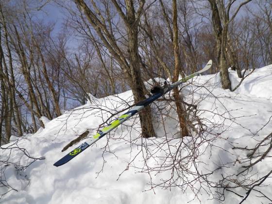 背負っていたスキーの片方を木に引っ掛けてしまった。