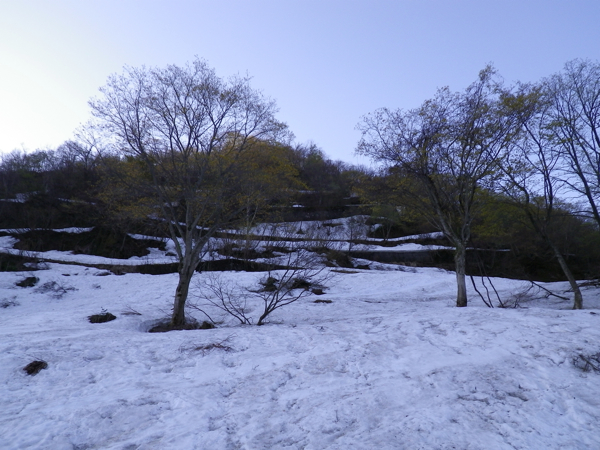九折れとなった林道を登る。