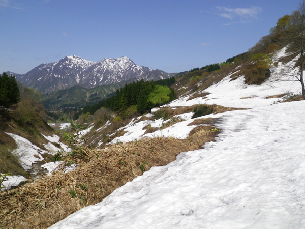 鉾ヶ岳の雪解けはかなり進んだ。
