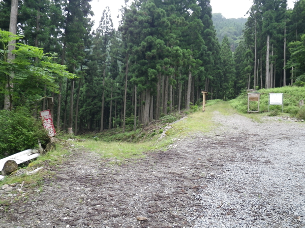 林道終点手前で左の小道に入り、白川八丁に降りる。