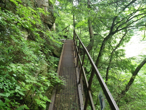 設置された橋、梯子のたぐいは概ねしっかりしているが、通行は自己責任で。テスティングは怠らずに。