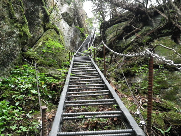 連続する梯子。