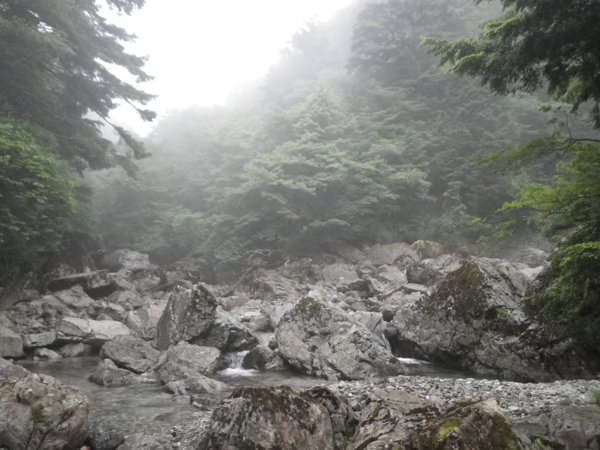 桶ノ谷出合、本谷は90度右へ。