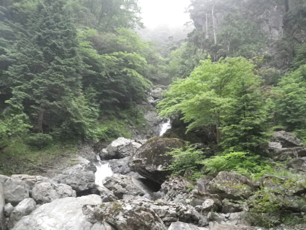 桶ノ谷出合より上流は傾斜が増し本格的な沢登り。足場・支点はしっかり整備されている。