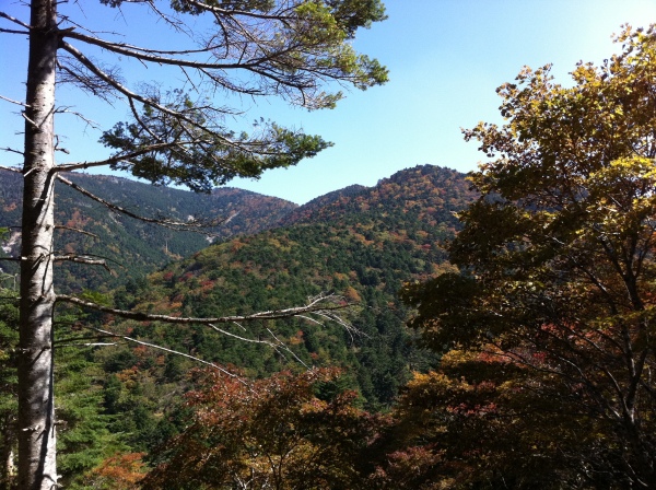 天川村川合から弥山、八経ヶ岳に登ってきました。山頂付近では紅葉が見頃を迎えていました。