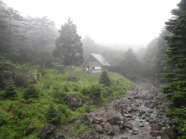 2011年7月3日の狼平。