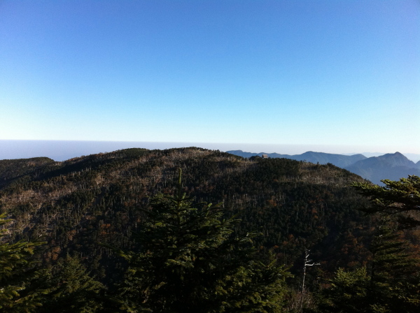 八経ヶ岳から望む弥山山頂。