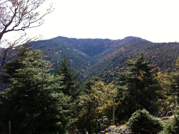 日裏山から見上げる八経ヶ岳、明星ヶ岳の紅葉。