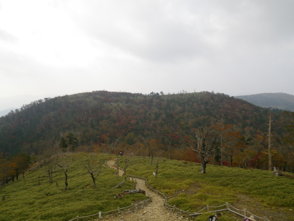 紅葉の日出ヶ岳でのんびり散策を楽しんだ。