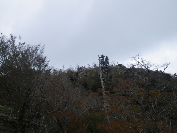 休憩所から日出ヶ岳山頂を望む。