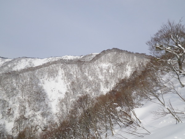 今シーズン1本目の山スキー、坂内川上から土倉岳に登ってきました。