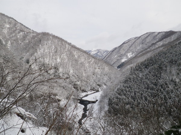 坂内川越しにたっぷり雪を蓄えた烏帽子岳が顔を出した。