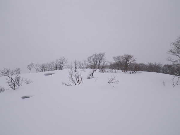 大ダワ山頂はなだらかな雪原。