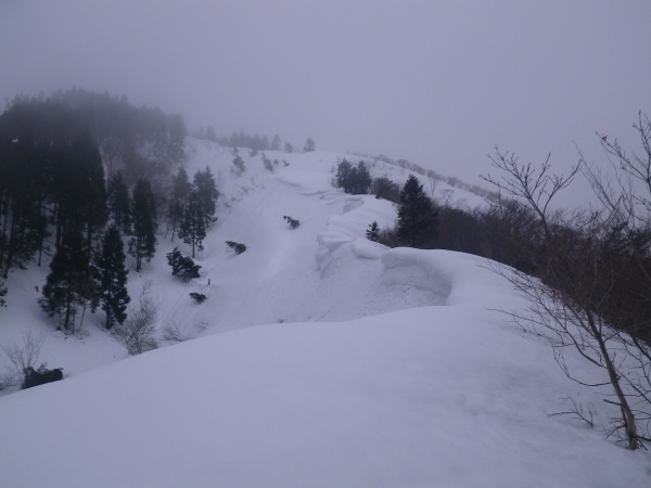 品又谷は揖斐川水系坂内川の支流白川の最奥の谷だ。諸家から貝月山に登り、ブンゲン、県境尾根を周遊して来ました。